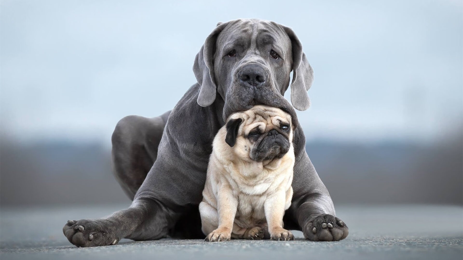 足球场上的抢七，厄瓜多尔与莱比锡红牛的战术碰撞