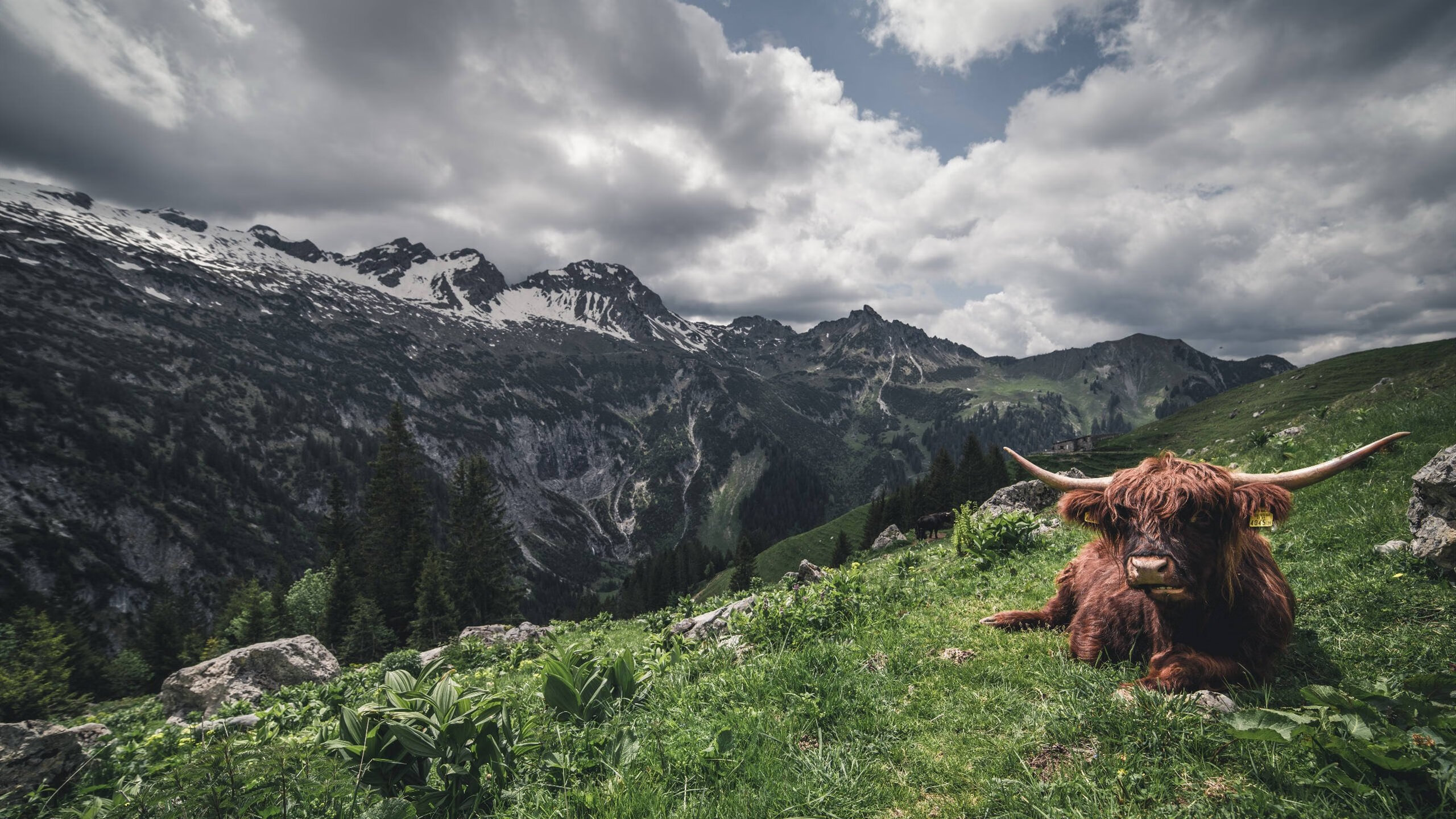 跨界风暴，深圳队战术压制开拓者，库里在F1街道赛式进攻中接管比赛