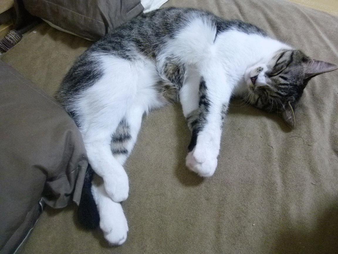 最后十分钟，沉默者的神迹之夜