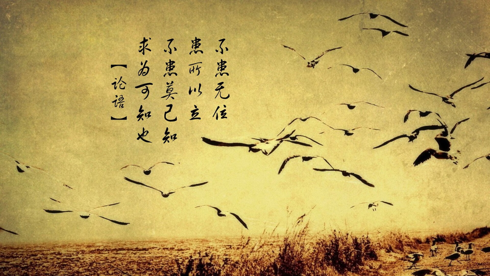 圣殿中的双重奏，欧冠决战夜与公牛王朝的跨时空共鸣