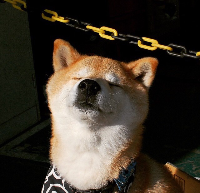 从斯台普斯到世界杯，当浓眉的统治力跨越两种赛场